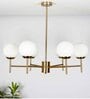 Compernico 5-Lights Brass Finish with Opal Glass Shades Chandelier Light