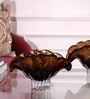 Conch Crystal Small Plate