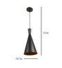 Ember Black Metal Hanging Light