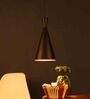 Ember Black Metal Hanging Light