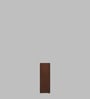 Orry Console Table in Walnut Finish