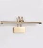 Contemporary Brushed Brass LED Picture Light Dual Arm