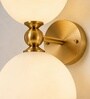 Contemporary Double Globe Wall Sconce