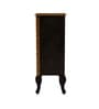 Contemporary Handpainted Wooden Cabinet for Home And Office In Multicolour Contemporary Handpainted Wooden Cabinet for Home And Office In Multicolour