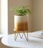 Gold Contemporary Premium Lucas Plant Pot