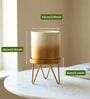 Gold Contemporary Premium Lucas Plant Pot
