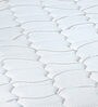 Convenio Queen Bed 78x60x4 Foam Mattress (Free Pillows with Bedsheet)