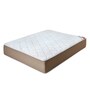 Convenio Queen Bed 78x60x4 Foam Mattress (Free Pillows with Bedsheet)