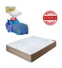 Convenio Queen Bed 78x60x4 Foam Mattress (Free Pillows with Bedsheet)