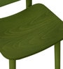 Cookie Dining Chair in Olive Green Colour