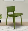 Cookie Dining Chair in Olive Green Colour