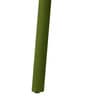 Cookie Dining Chair in Olive Green Colour