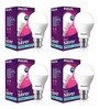 9 Watt B22 Cool Day Light LED Bulb, Set of 4