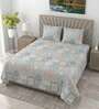 Cool Fire Metro 186 TC Cotton King Bedsheet With 2 Pillow Covers