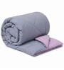 Grey & Pink 200 GSM Reversible Comforter