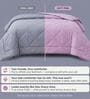 Grey & Pink 200 GSM Reversible Comforter