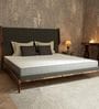 Cool Premium Queen Bed In a Box HR and Gel Memory Foam Mattress 72x48x6 Inches