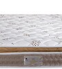 Cool Sleep 8 Inch Rebonded Foam & Memory Foam Mattress In Queen Size