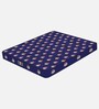 Cool Sleep Orthopedic 8 Inch Coir Single Size Mattress