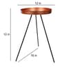 Copper & Black Detachable Table