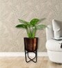 Copper Antique Metal 13.38 Inch Vintage Modern Edge Planter