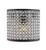 Black Copper Crystal Wall Light