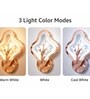 Copper Finish Novelty Wall Light Flower Design Set of 2