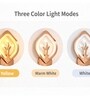 Copper Finish Novelty Wall Light Oval Design Set of 2
