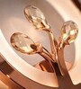 Copper Finish Novelty Wall Light Round Design Set of 1