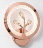 Copper Finish Novelty Wall Light Round Design Set of 1