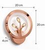 Copper Finish Novelty Wall Light Round Design Set of 1
