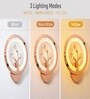 Copper Finish Novelty Wall Light Round Design Set of 2