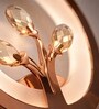Copper Finish Novelty Wall Light Round Design Set of 2
