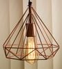Masion Copper Metal Hanging Light