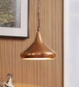 Raphael Copper Metal Hanging Light