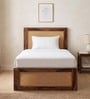 Coral Cane Single Bed In Sheesham Wood Finish