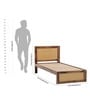 Coral Cane Single Bed In Sheesham Wood Finish