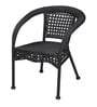 Coral Garden Chair in black Color 