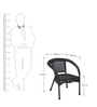 Coral Garden Chair in black Color 