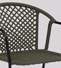 Coral Metal Patio Chair in Green & Black Finish