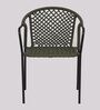 Coral Metal Patio Chair in Green & Black Finish