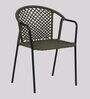 Coral Metal Patio Chair in Green & Black Finish