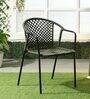 Coral Metal Patio Chair in Green & Black Finish