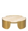 Cordelia Coffee Table in Electroplatting Finish with Travertine Proreciline Top