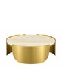 Cordelia Coffee Table in Electroplatting Finish with Travertine Proreciline Top