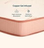 Core Dual Support 5 Inch Resiflex Hr Foam Mattress In Single Size Mattress With Firm & Medium Firm Support (With 1 Free Pillow)