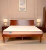 Core Dual Support 5 Inch Resiflex Hr Foam Mattress In Single Size Mattress With Firm & Medium Firm Support (With 1 Free Pillow)