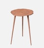 Cosmo Aluminium Floral End Table in Copper Finish Set of 2