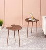 Cosmo Aluminium Leaf End Table in Copper Finish Set of 2