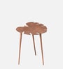 Cosmo Aluminium Leaf End Table in Copper Finish Set of 2